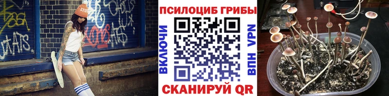 Купить закладки Торопец Псилоцибиновые грибы Cubensis